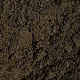 Termőföld