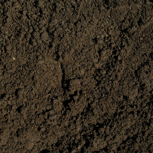 Termőföld