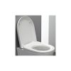 Laufen WC Ülőke Tetővel lecsapódásgátlós antibakteriális 8.9195.1.300.003.1