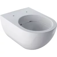 WC csésze